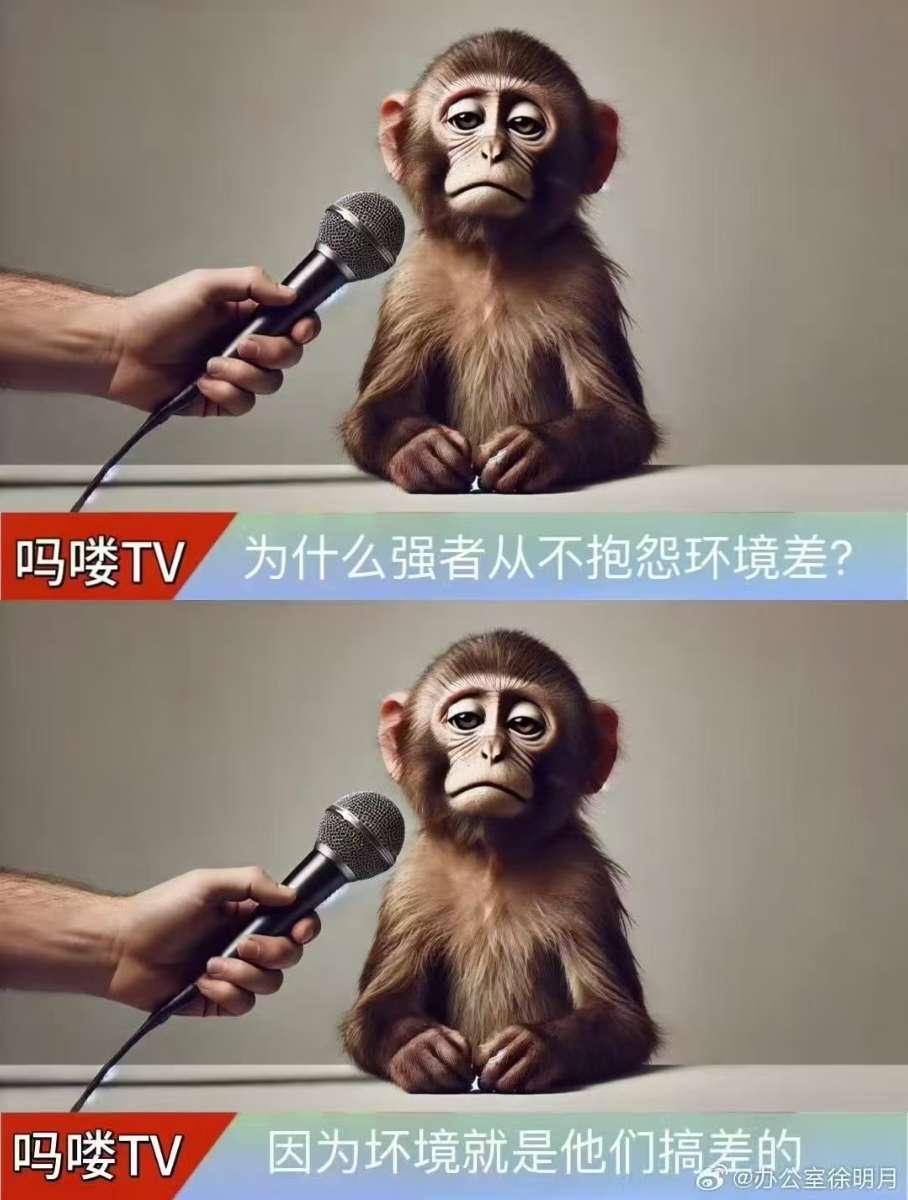 微信图片_20250802101633_45.jpg