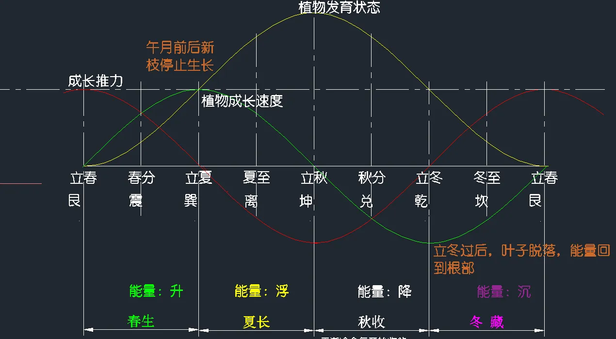 mmexport1760660344461.webp