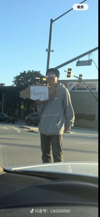 甜甜圈的近况！