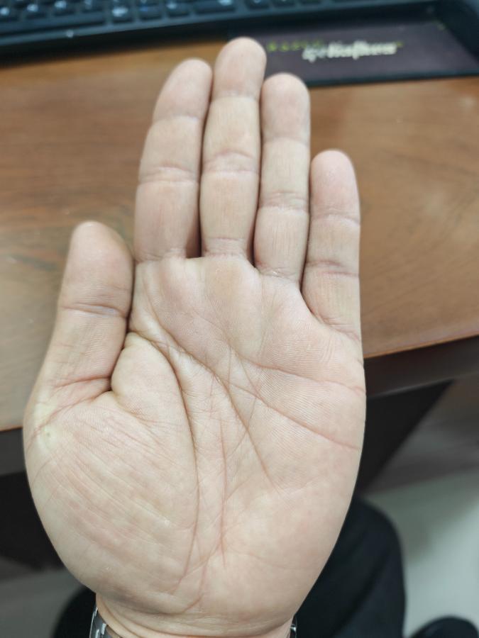 请各位大师看看今年总体运势如何，事业财富可有提升。