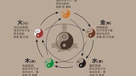 马亚顺:五行与疾病